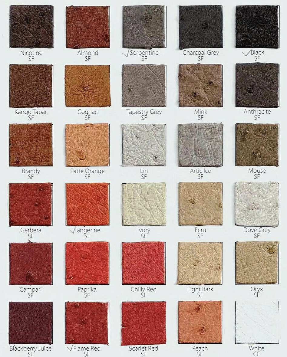 A collectsion of Hermes Ostrich leather swatches featuring classic neutral and warm red tones including Black, Tangerine, and Gold, used for Hermes ostrich bags.