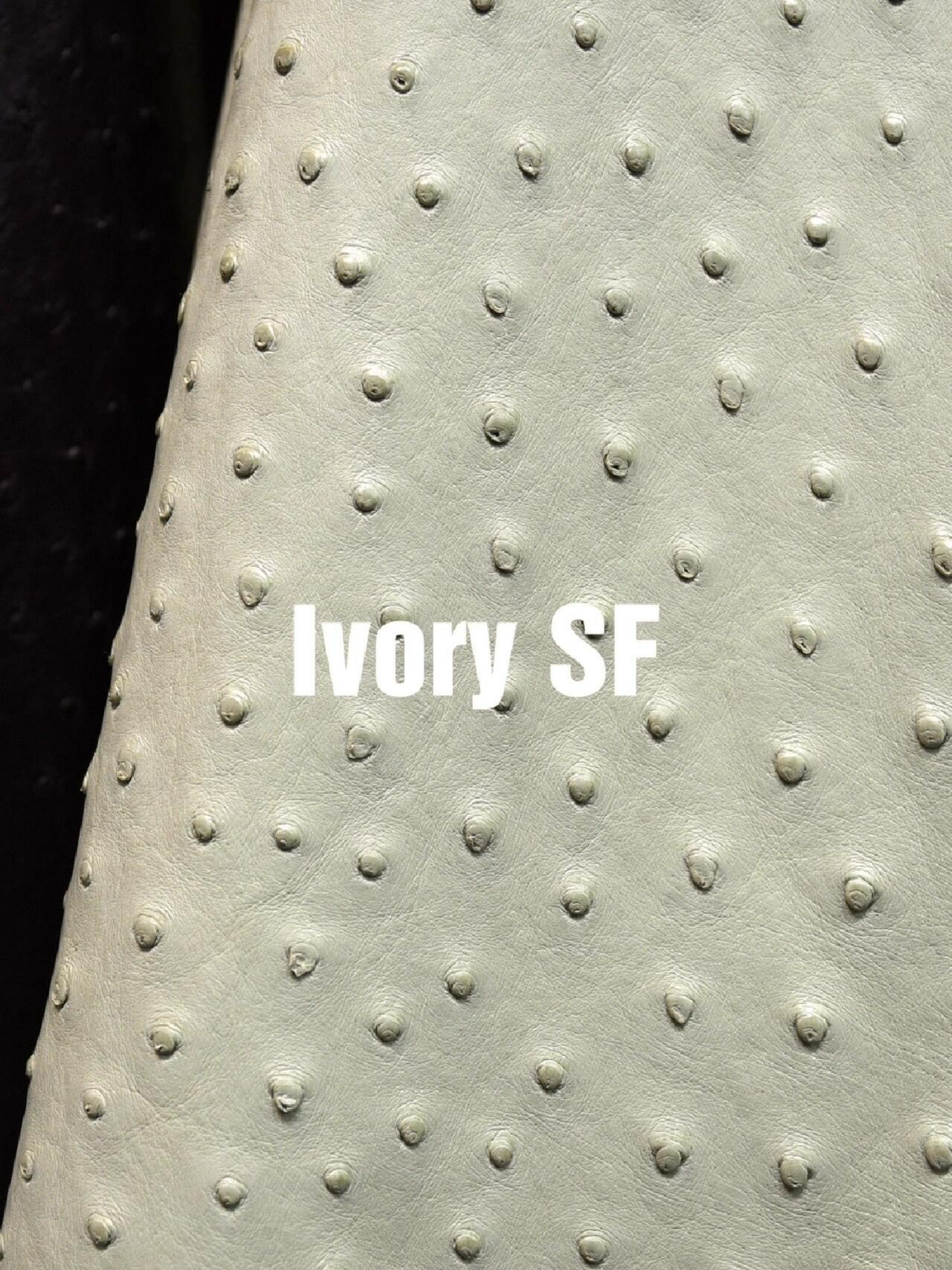 Premium Ivory Hermes ostrich leather detail, highlighting the elegant creamy tone and natural quills of Hermes ostrich.