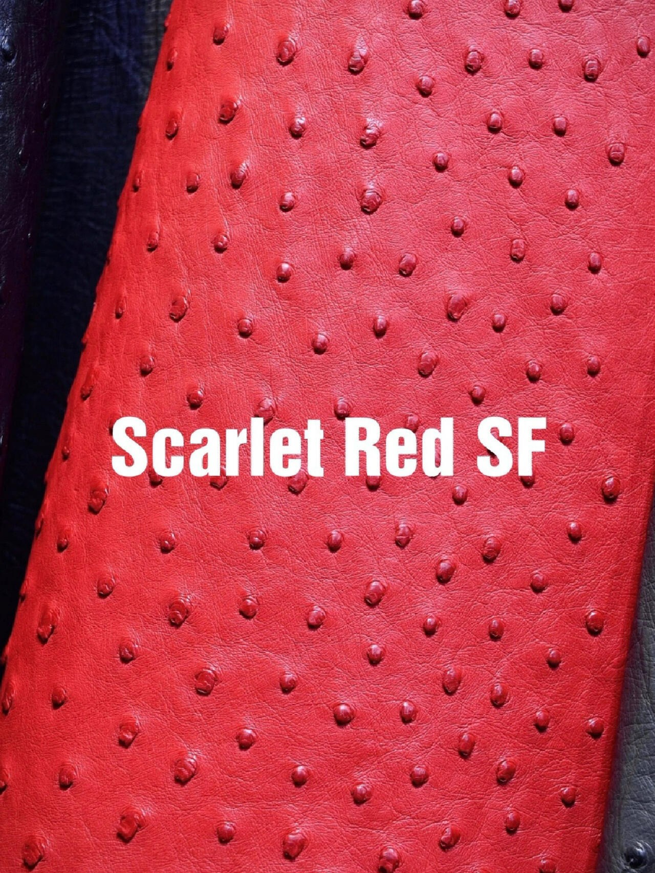 Brilliant Scarlet Red Hermes ostrich leather close-up, highlighting the vivid red tone for a luxury Hermes ostrich bag.