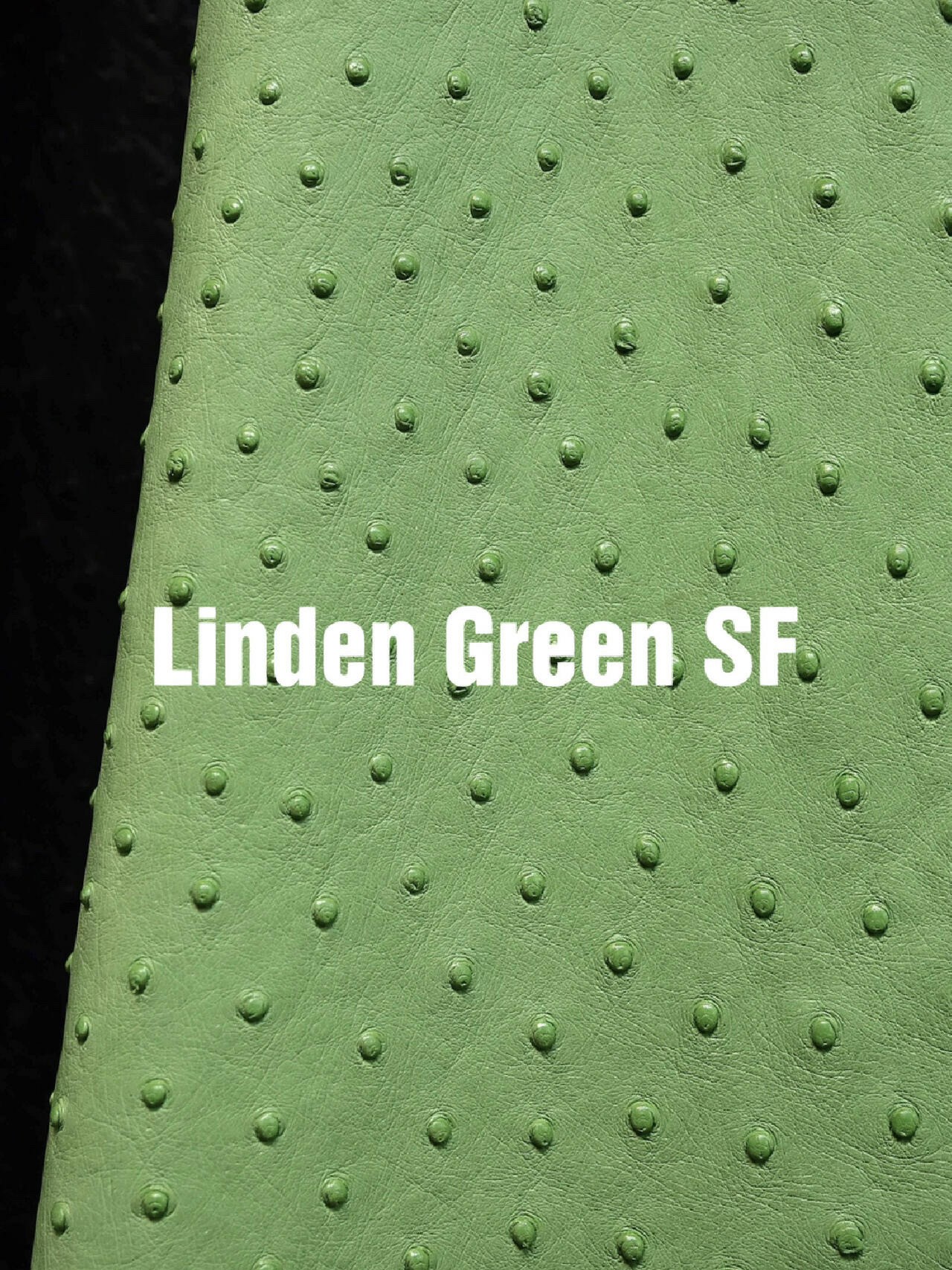 Detailed view of Linden Green Hermes ostrich leather, a soft and rare green shade for a Hermes ostrich bag.