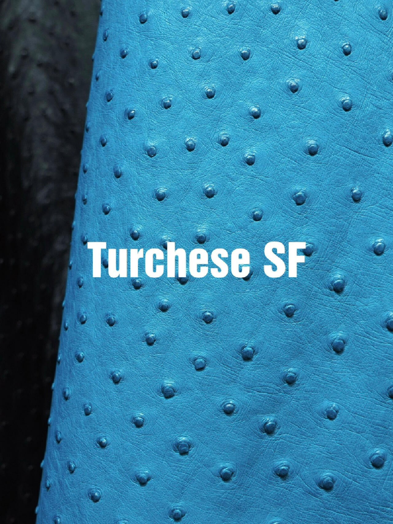 Stunning Turchese turquoise blue Hermes ostrich leather texture, perfect for a bespoke Hermes ostrich bag.