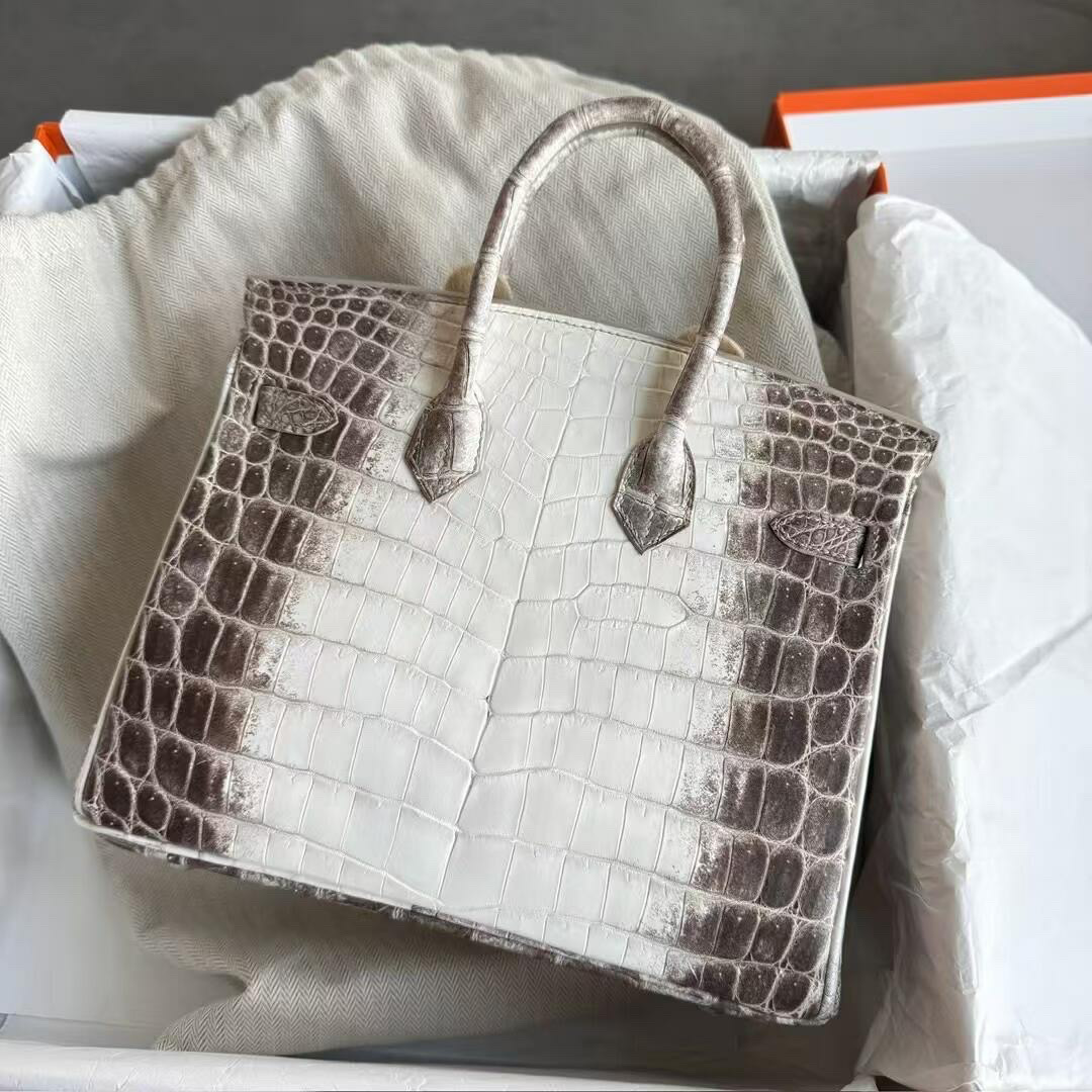 The back view of a Birkin Himalayan crocodile showcasing the symmetrical gradient scales.